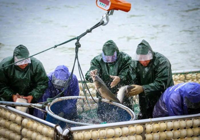 秒懂教程“斗牛房卡怎么购买”详细房卡怎么购买教程