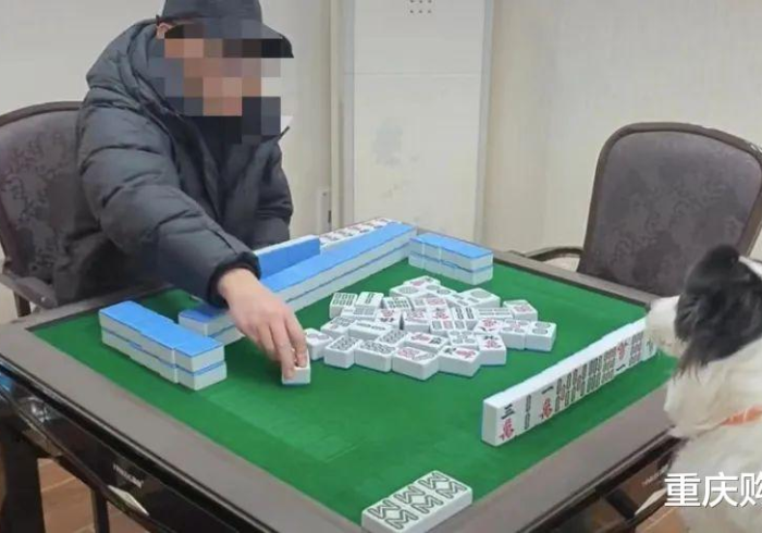 五分钟了解"蜀州麻将可以开挂吗贴吧”(果然有透视挂) 五分钟了解"蜀州麻将可以开挂吗贴吧”(果然有透视挂)