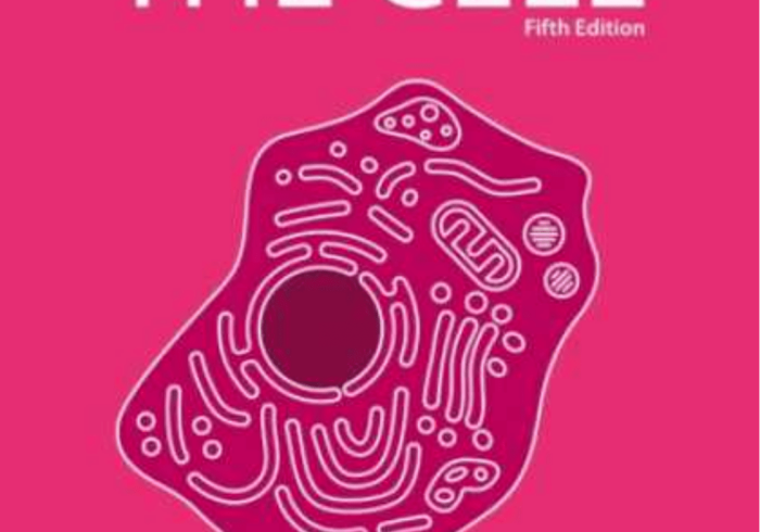 必备教程“凤凰VIP有挂吗？”(确实真的有挂)