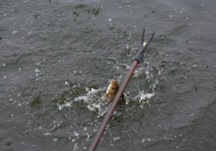 【 知 道 】 “ 乐 渔 有 挂 吗 有 的 ” 原 来 确 实 有 挂 !