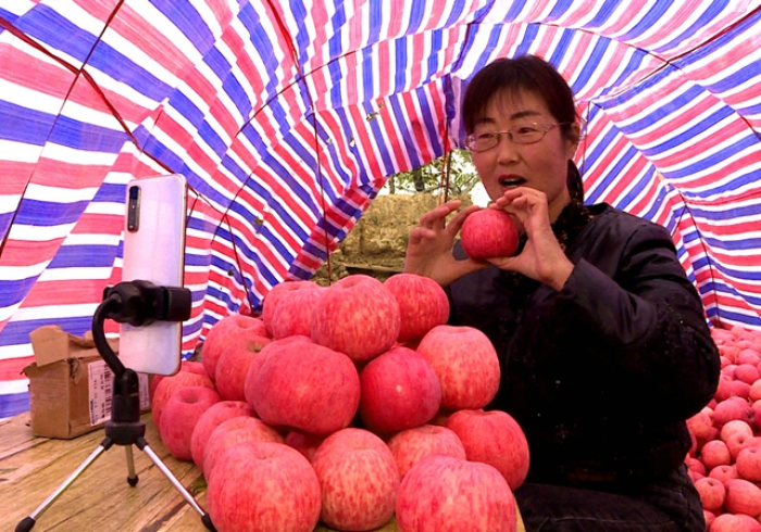 7 分 钟 揭 秘 " 三 晋 陸 陸 陸 挂 哪 里 能 买 到 ” ( 详 细 透 视 教 程 ) 7 分 钟 揭 秘 " 三 晋 陸 陸 陸 挂 哪 里 能 买 到 ” ( 详 细 透 视 教 程 )