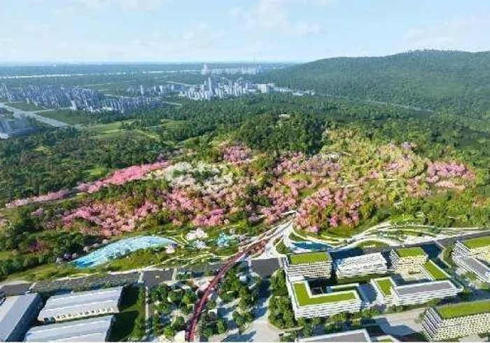 全网解答|“万游有没有人开挂”(透视曝光猫腻) 全网解答|“万游有没有人开挂”(透视曝光猫腻)