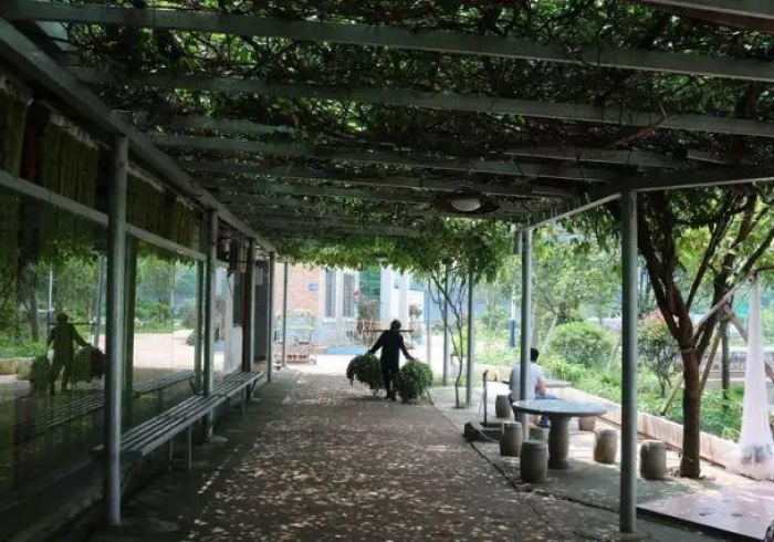 【出现一款新型】“微乐衡阳麻将怎么开挂是真的吗？”分享必要外挂教程