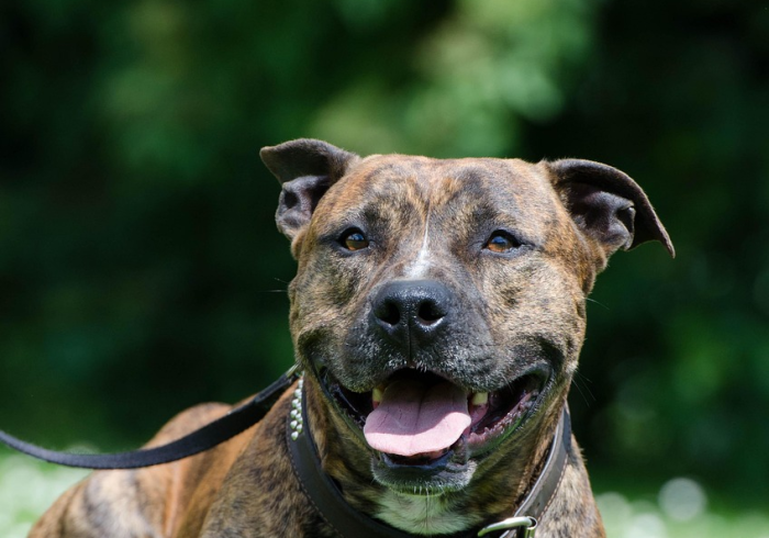 秒懂百科“皇豪互娱牛牛哪里买房卡”房卡链接获取 秒懂百科“皇豪互娱牛牛哪里买房卡”房卡链接获取