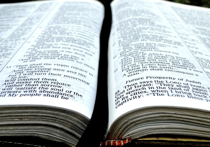 秒懂教程“微信牛牛房卡在哪买”房卡怎么购买