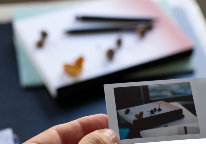 房卡全攻略“新道游牛牛透视免费”详细房卡使用教程